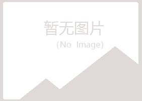 赤峰山柳音乐有限公司